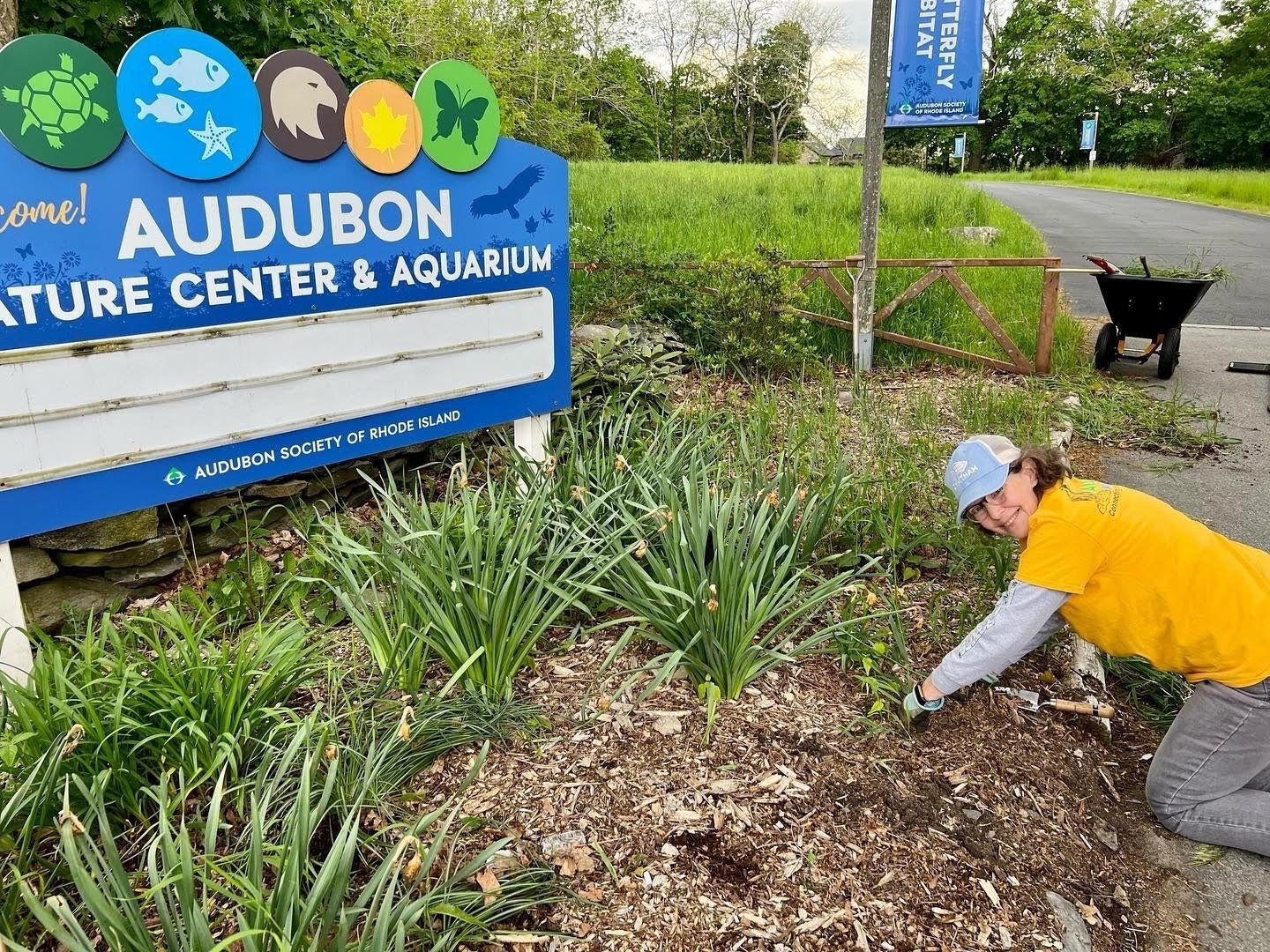 Volunteer Betsy Staples helps with landscaping at the Audubon Nature Center and Aquarium
