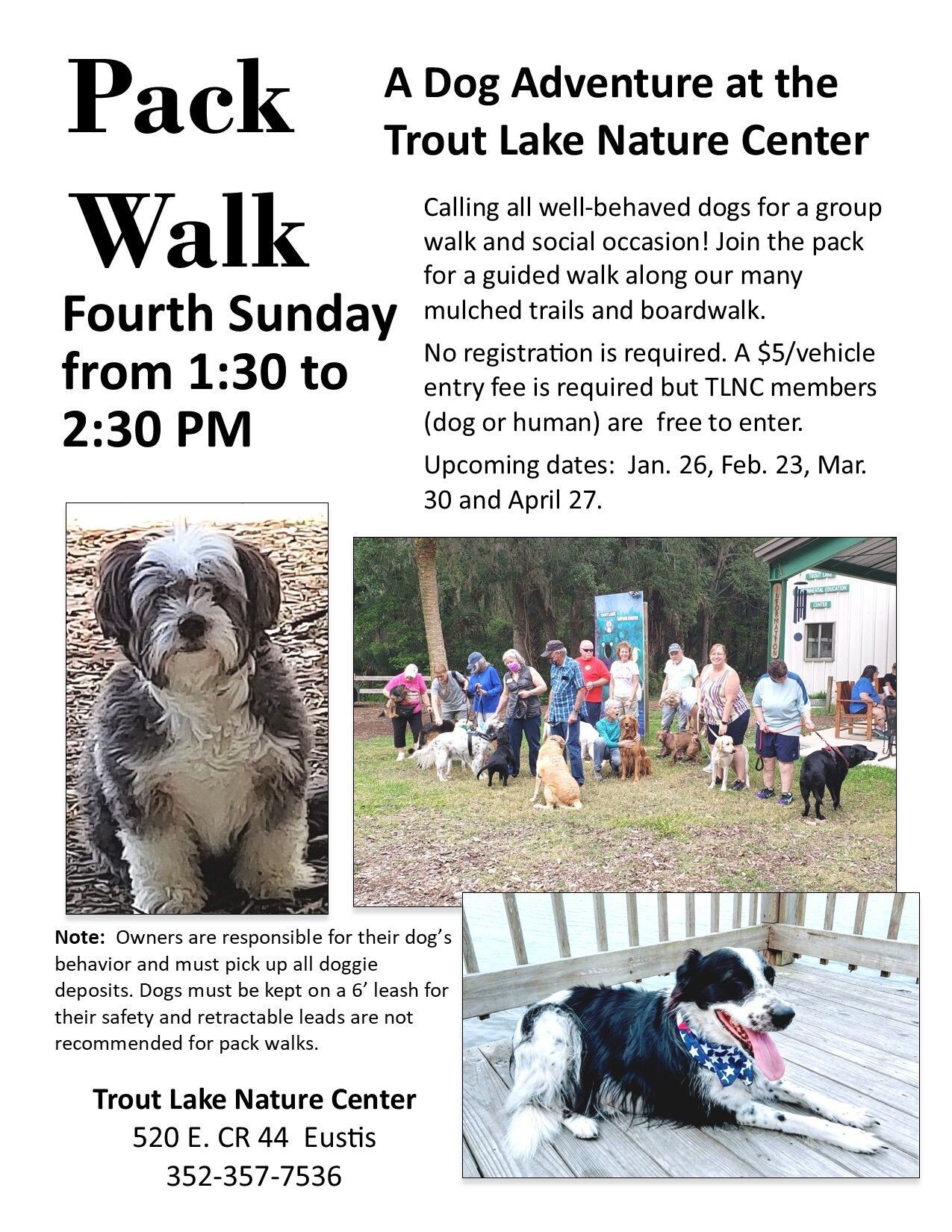 Flyer with two photos of dogs and text about the pack walk