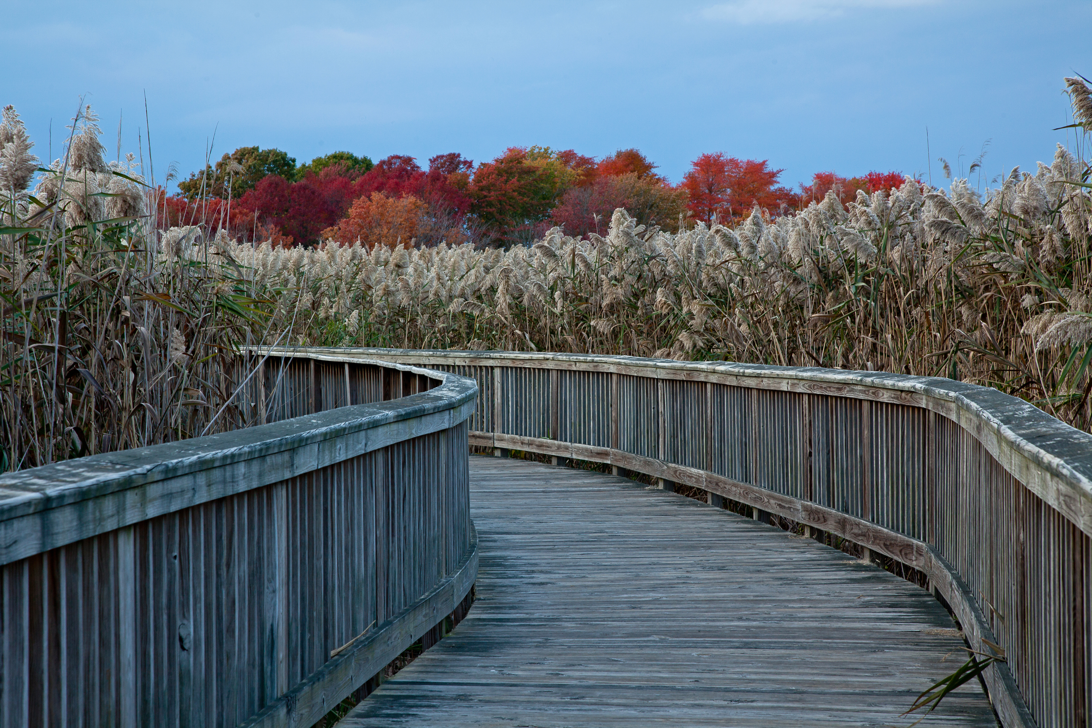 Nature Center and Aquarium Winter Hours and Closings