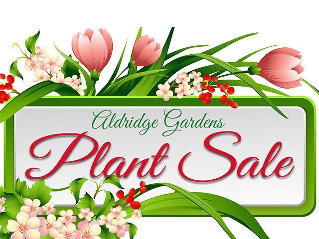 Spring Plant Sale - Featured Plants