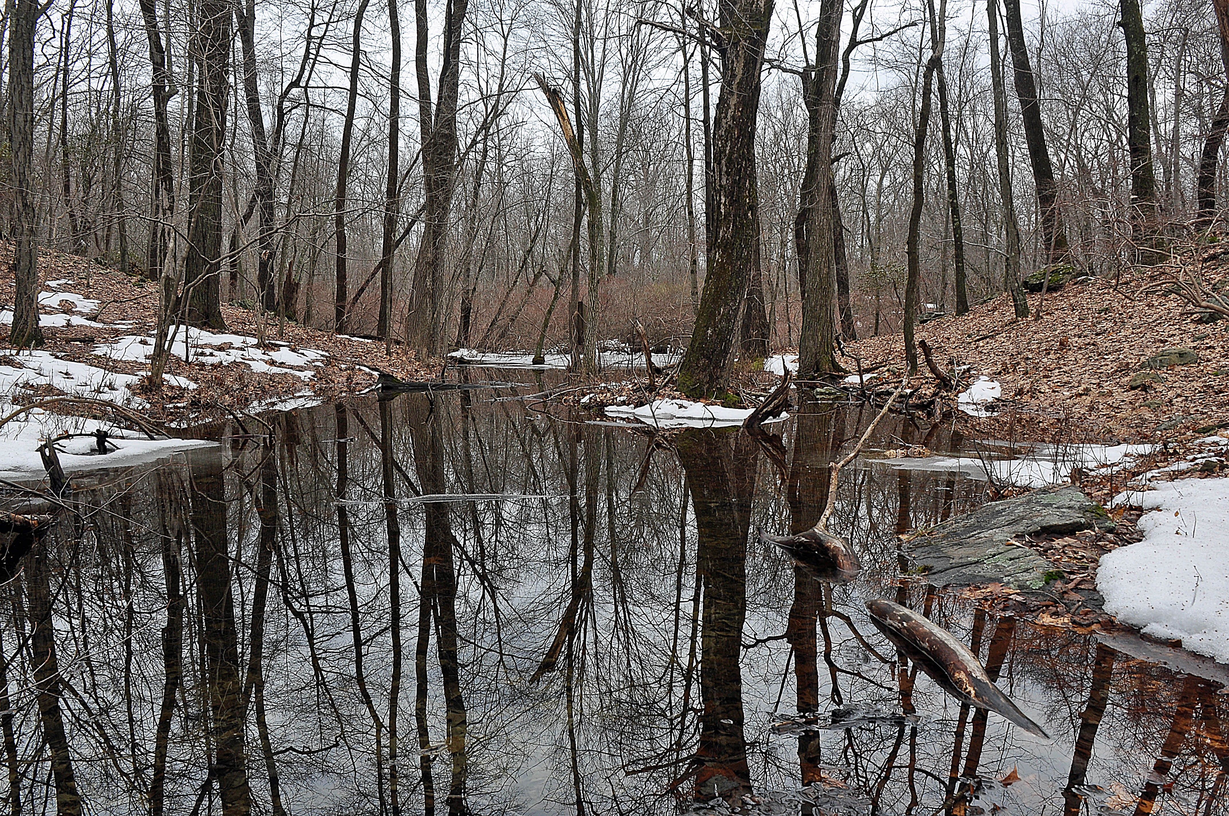 All About Ice : Event Calendar : Programs & Events : Muscoot Farm