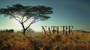 PBS Nature selects SRT for national TV program