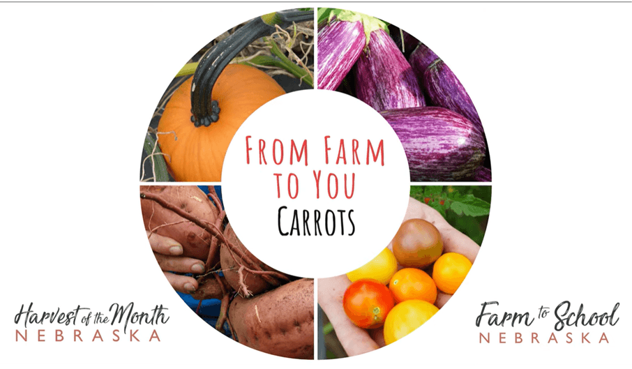 Farm to you - Carrots, Green School Farms