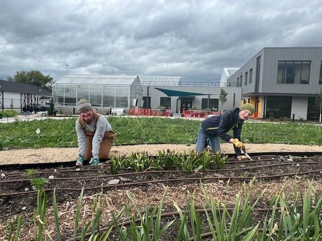 Master Gardener Volunteer Opportunities