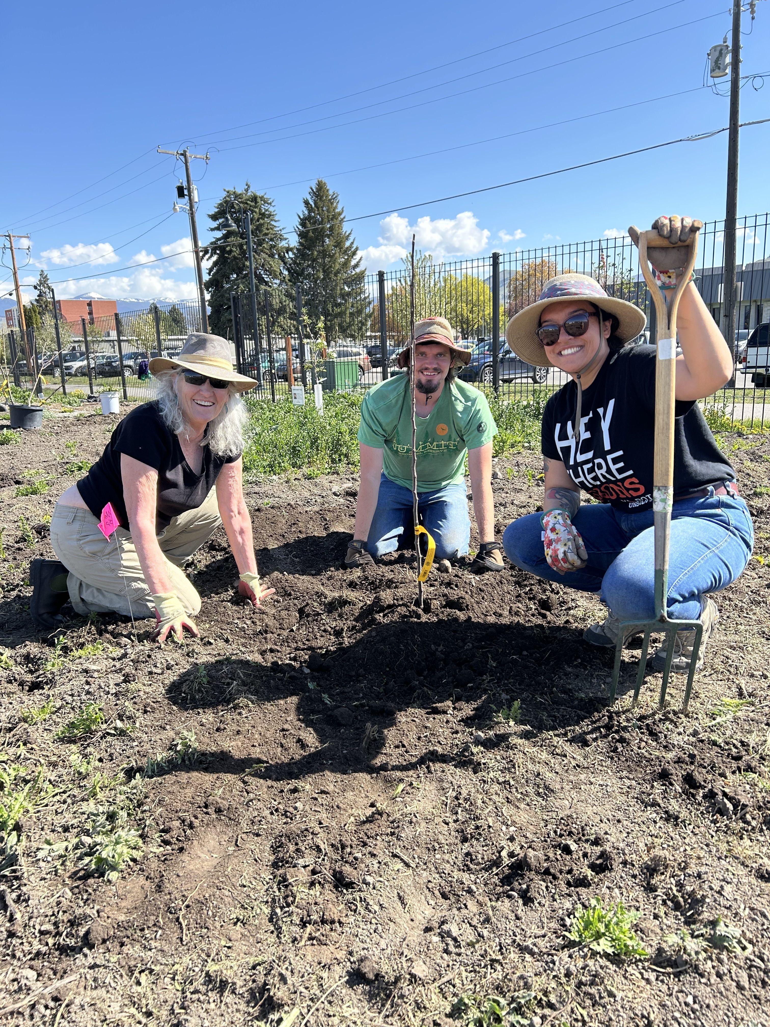 Volunteer in the Gardens