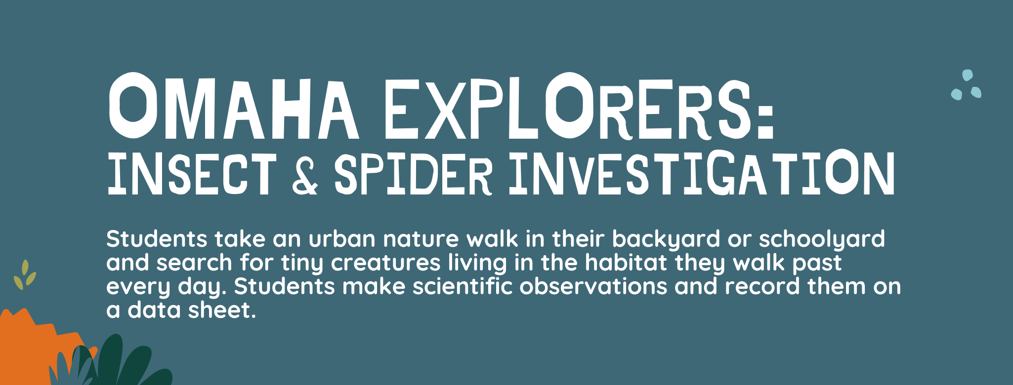 Omaha Explorers: Insect & Spider Investigation