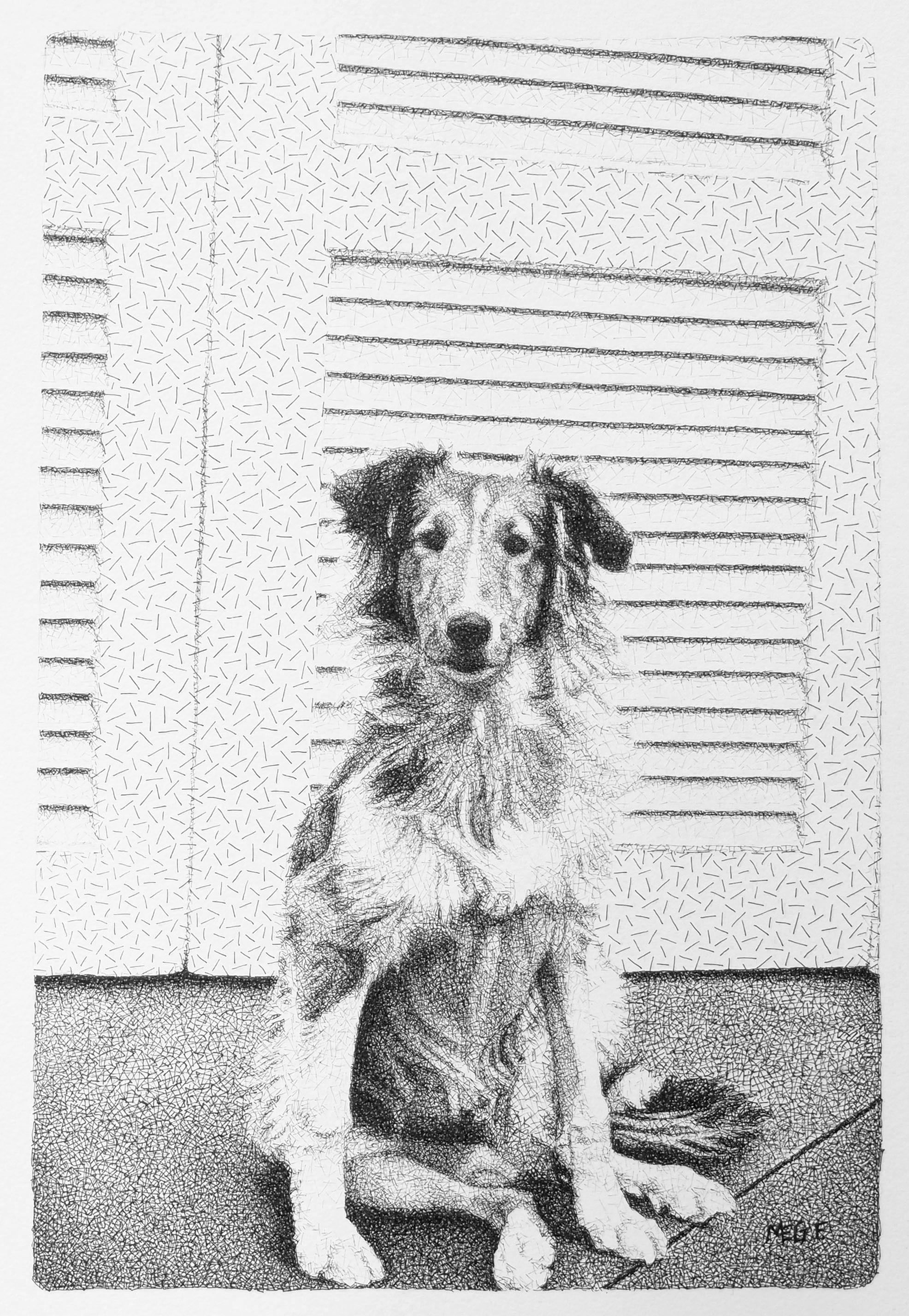 ink drawing of a dog by Margaret Fanning 