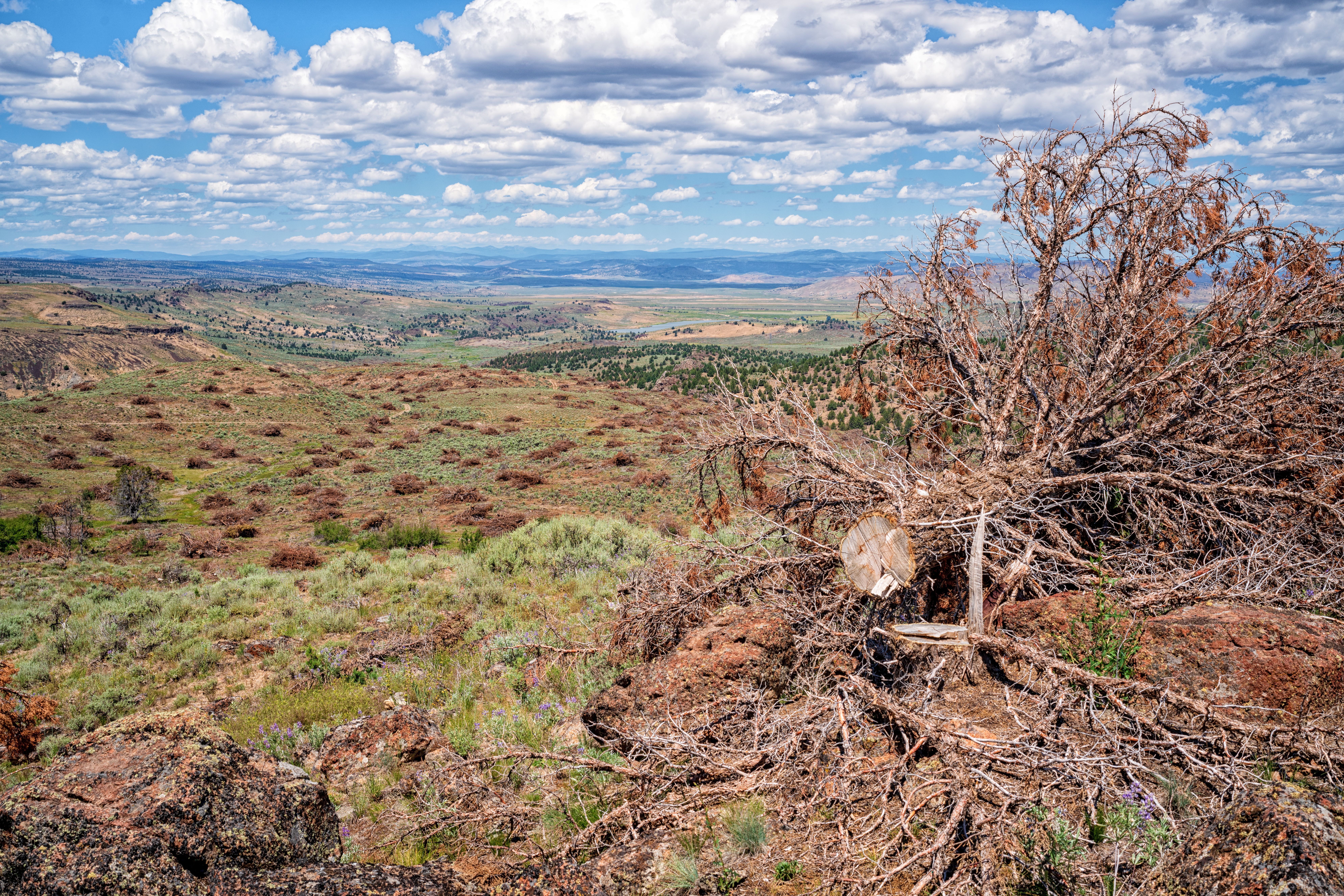 Southeast Oregon Wildfire Resiliency Project Progress and Updates