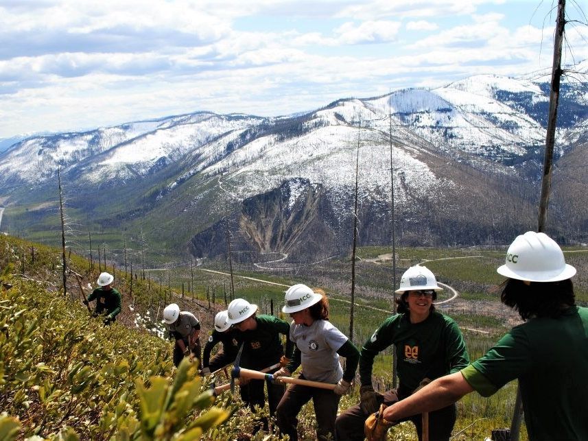 [Image description: Seven individual MCC members, all in a line, are using mattocks to dig into the hillside for the trail they are building. Large snag trees are seen around them, and further in the distance, wide-reaching mountains covered in snow. ]  