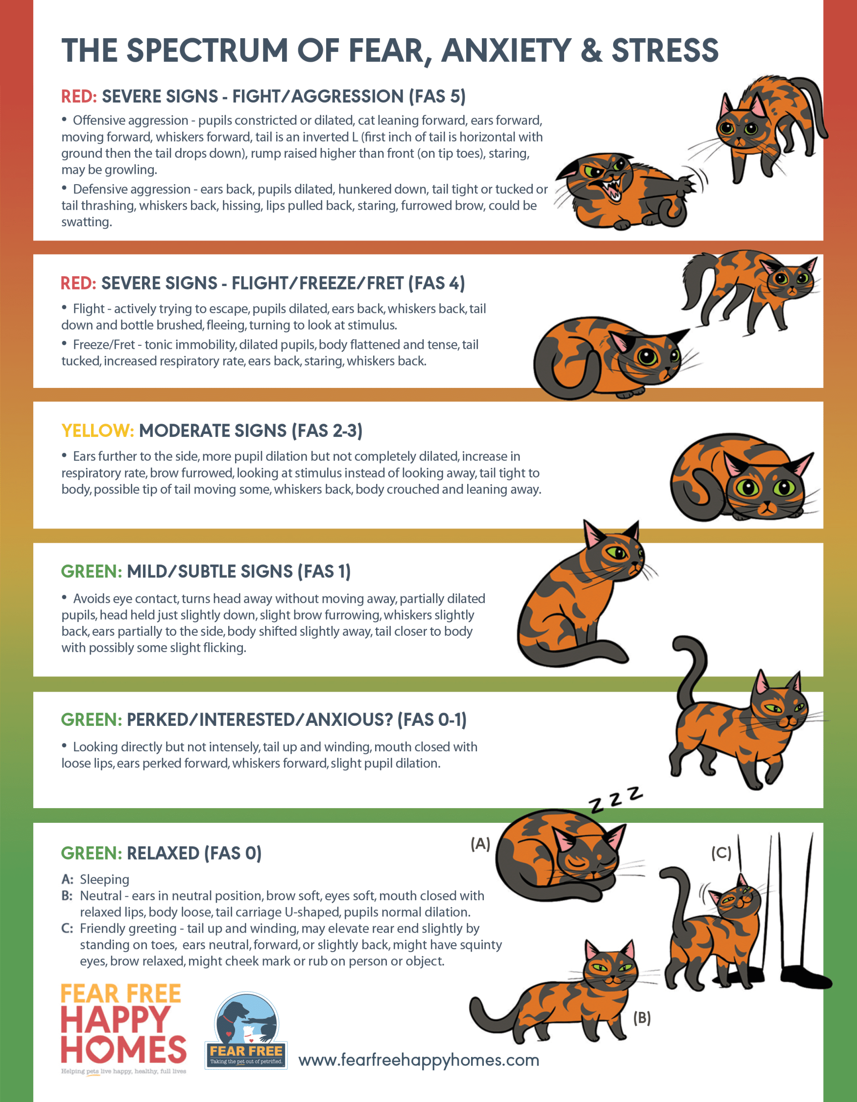 A Cat's Spectrum of Fear, Anxiety, & Stress