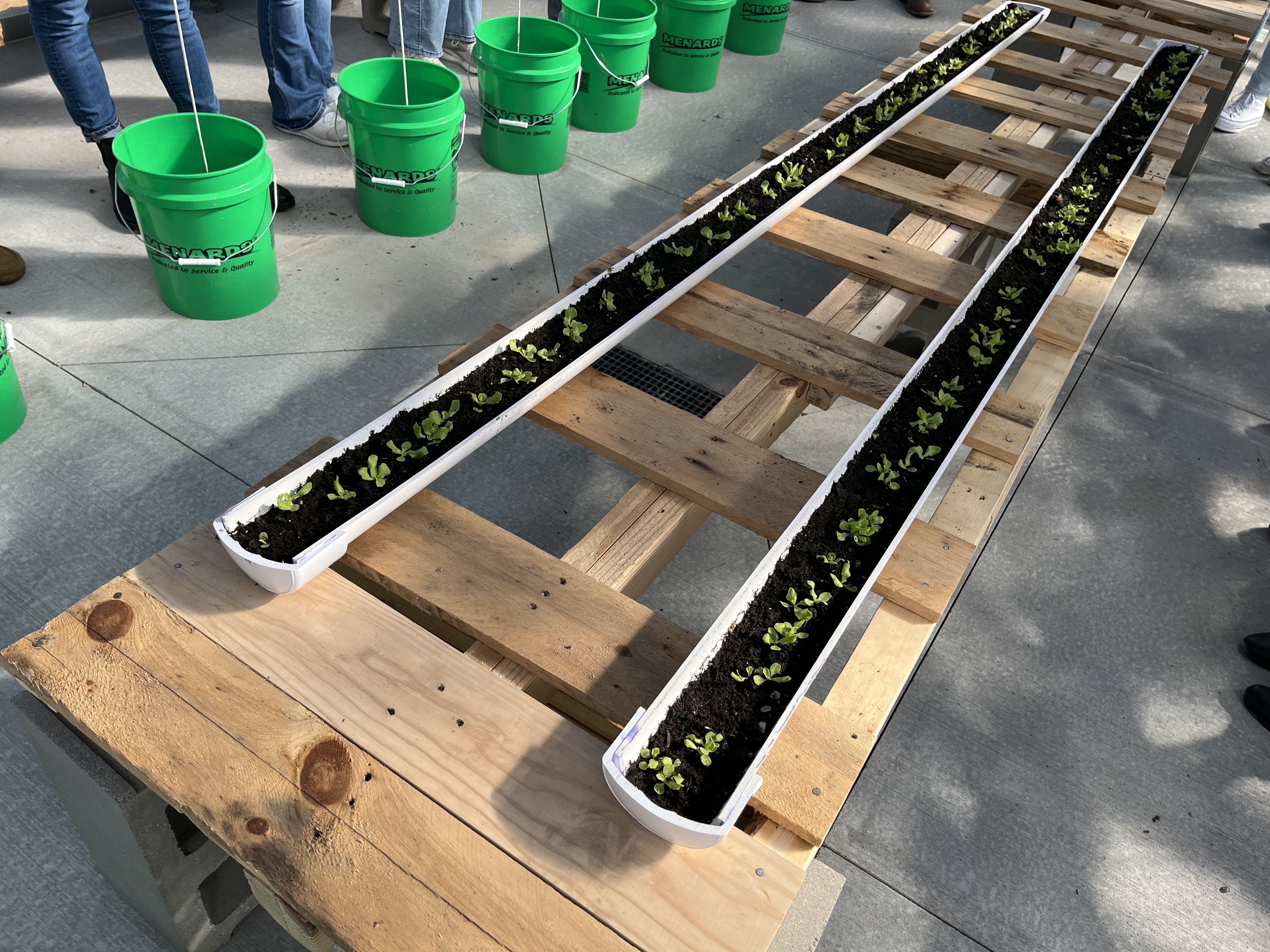 Labor of Love: Lutheran High Northeast Dedicates Greenhouse