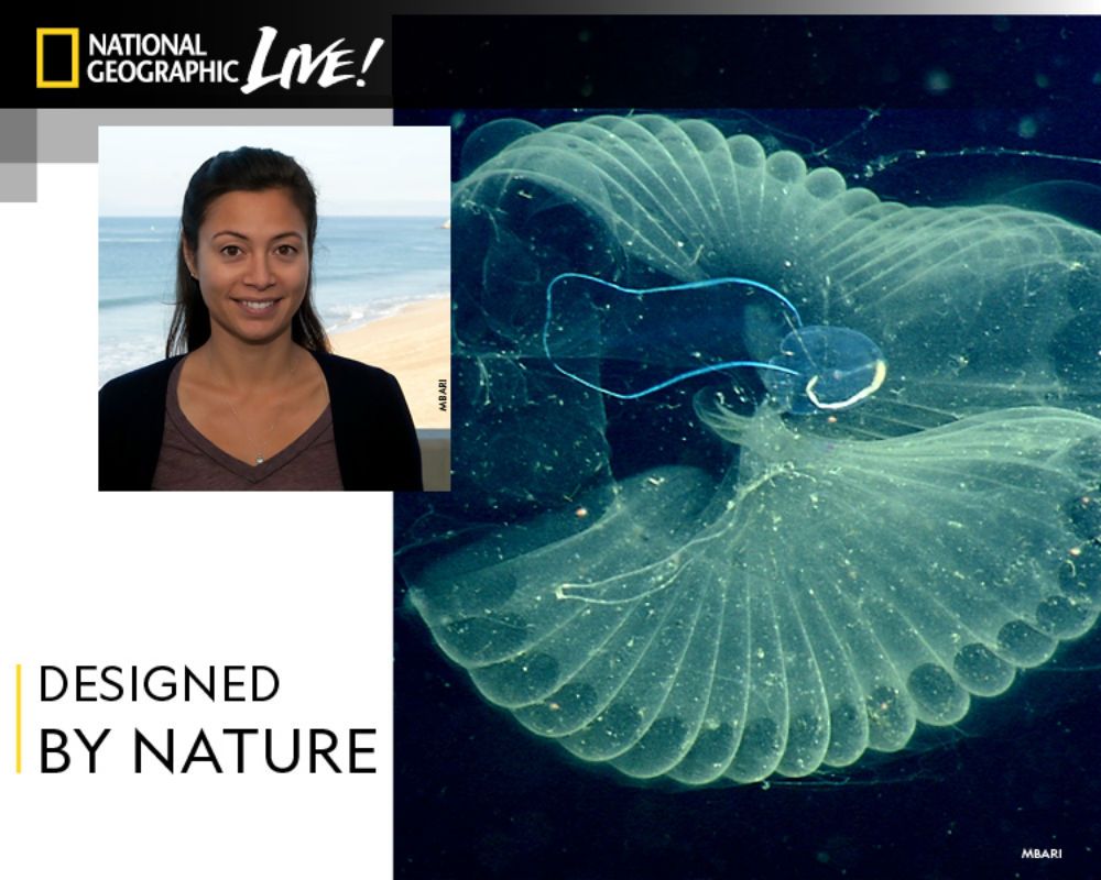 Kakani Katija: Designed by Nature
