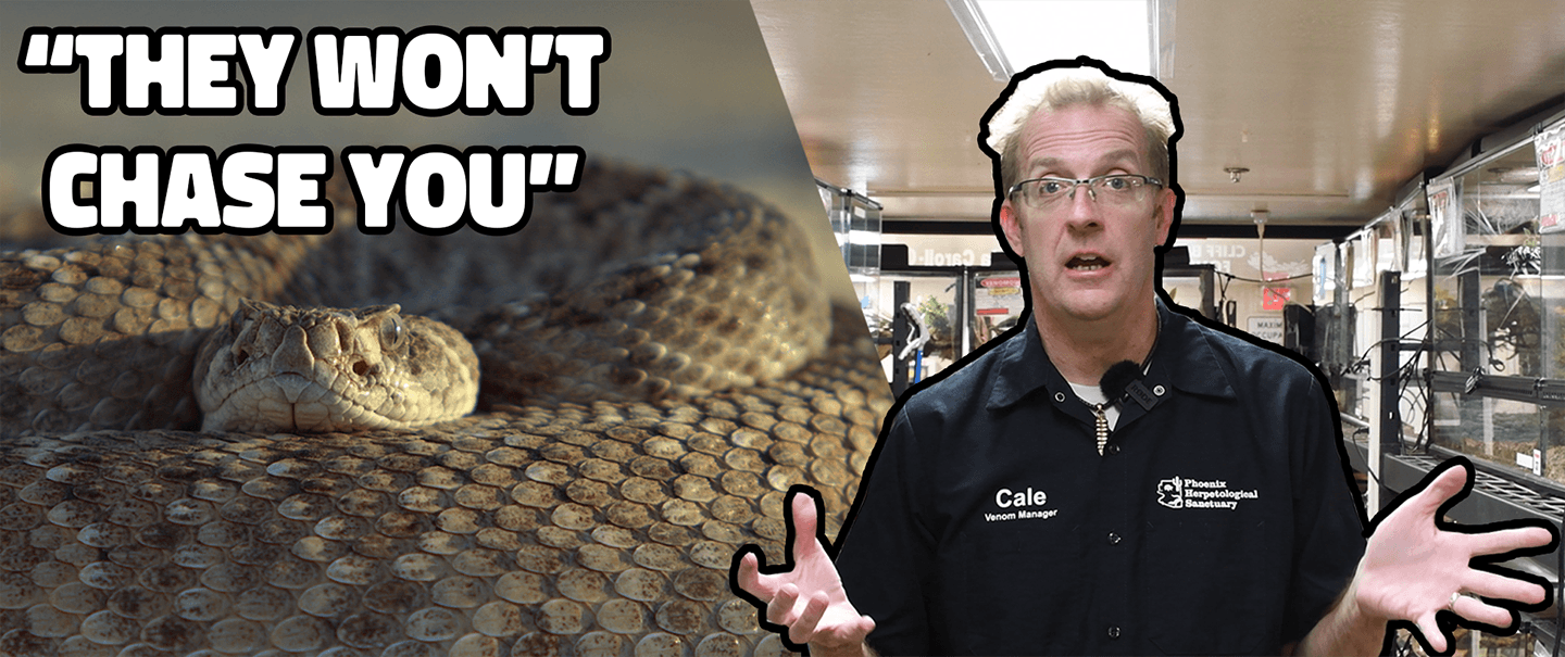 New Video on YouTube!