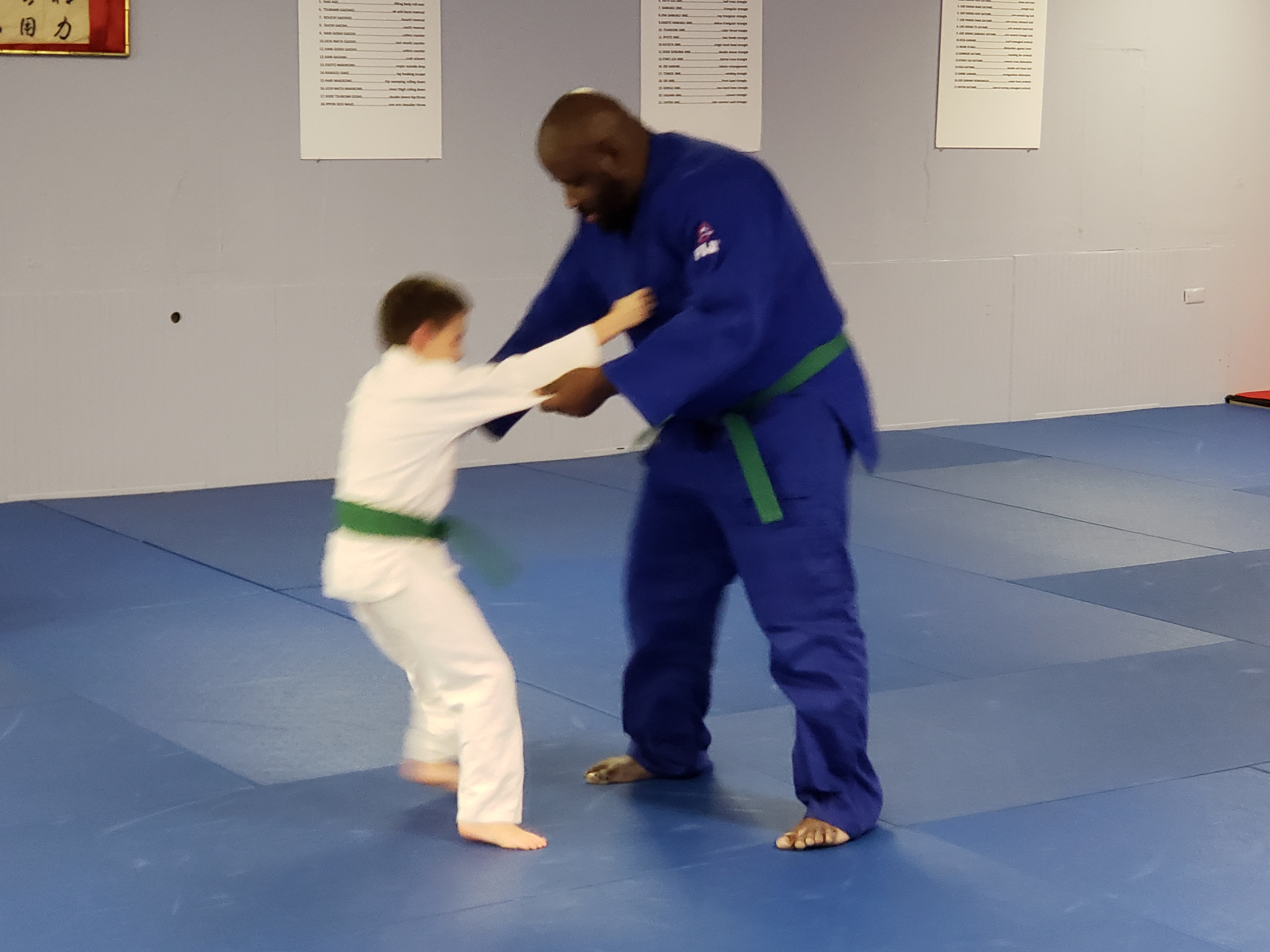 American Academy of Martial ArtsJudan Judo Home