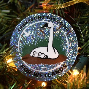 Ornament: Silver Glitter Trumpeting the Cause for Wetlands