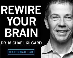 Michael Kilgard on the Huberman Lab Podcast