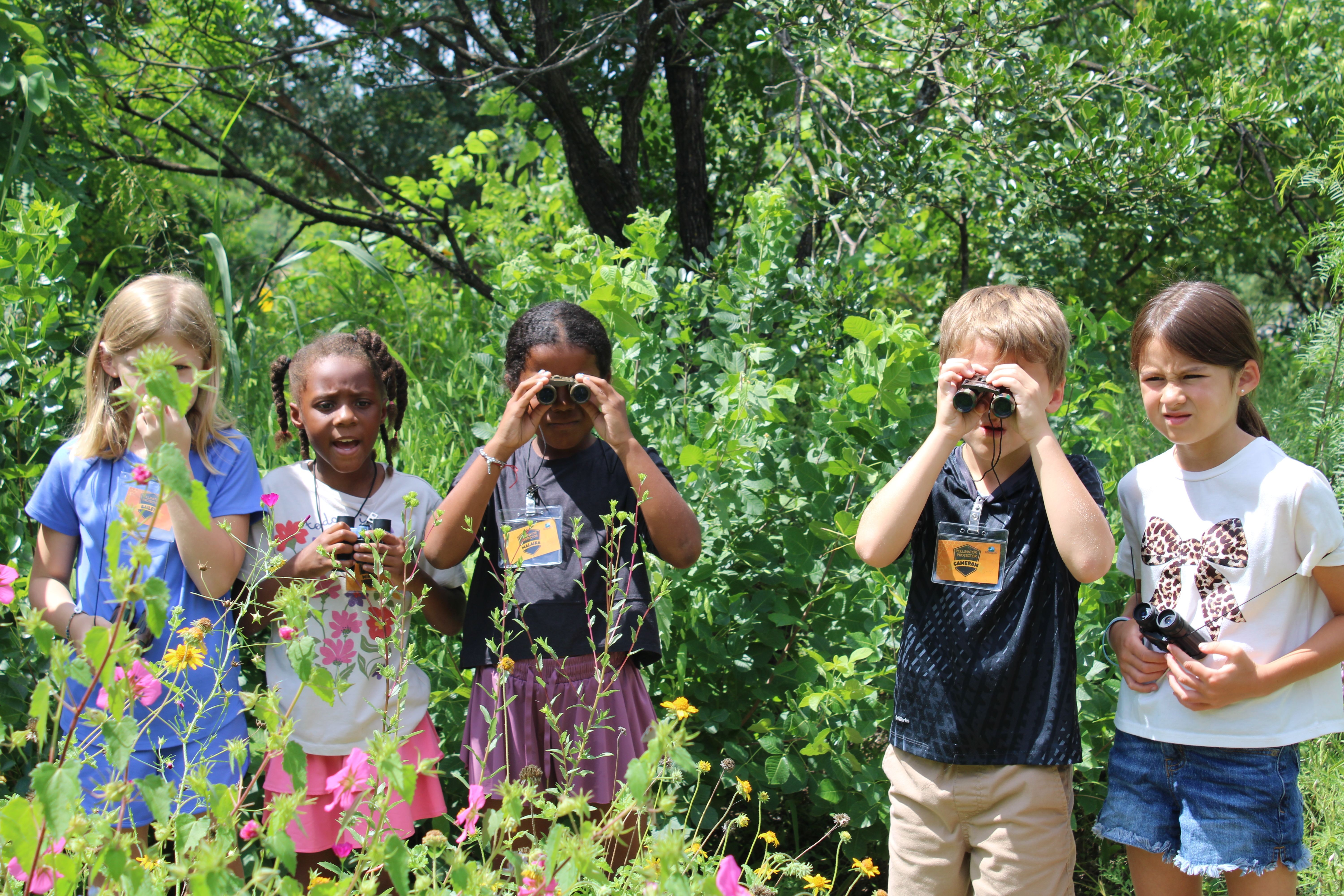 Pollinator Protector Camp