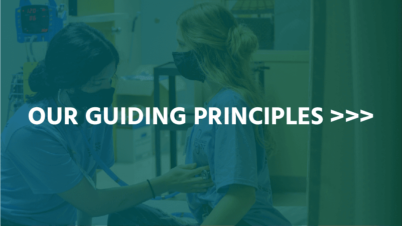 OUR GUIDING PRINCIPLES >>>