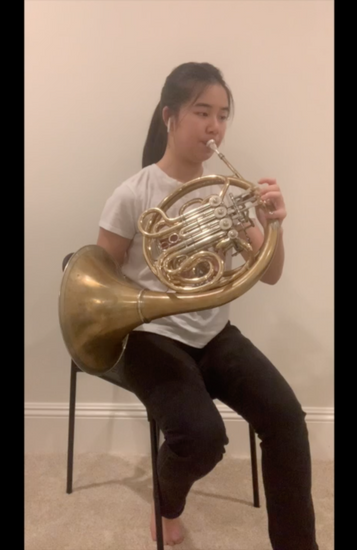 Horn
