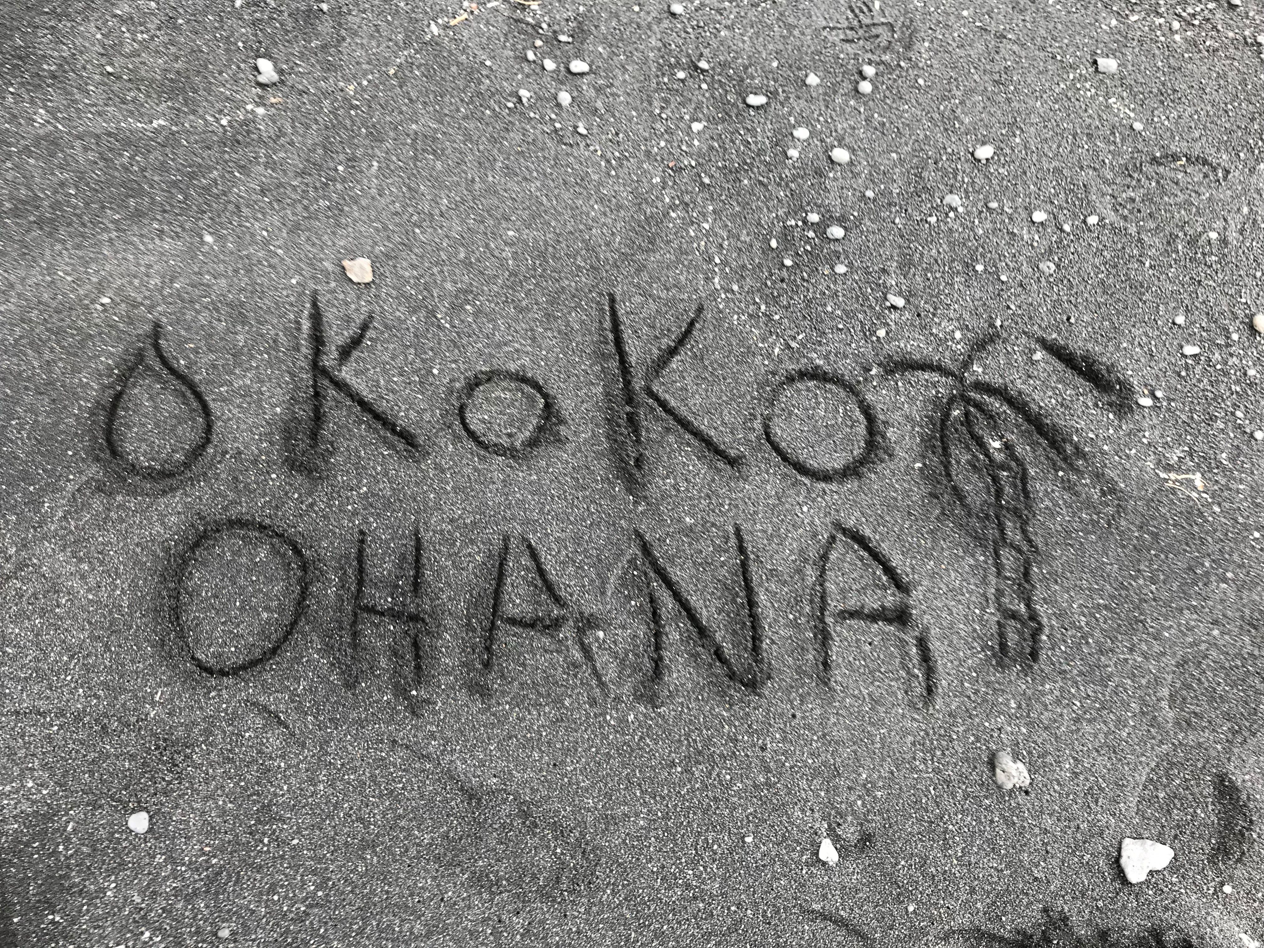 Virtual-Camp Koko Ohana 2020