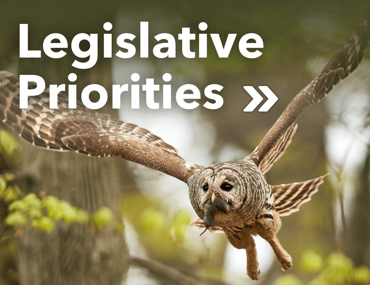 Legislative Priorities