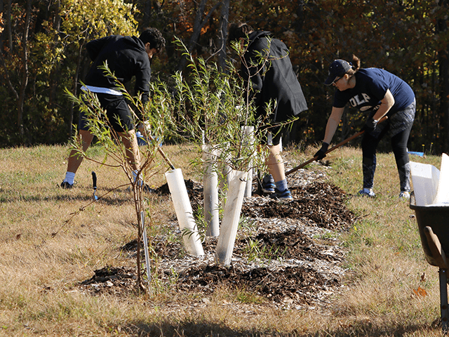 Tree planting at Glinodo Center