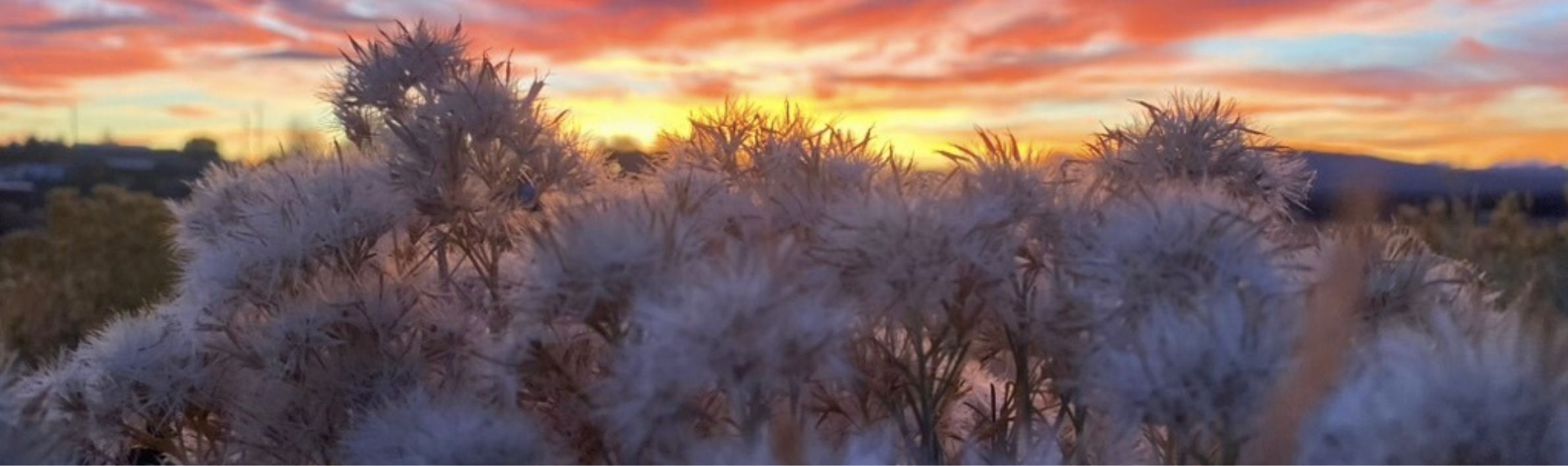 Silhouette of a family.