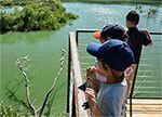 Guided School Field Trips to High Island