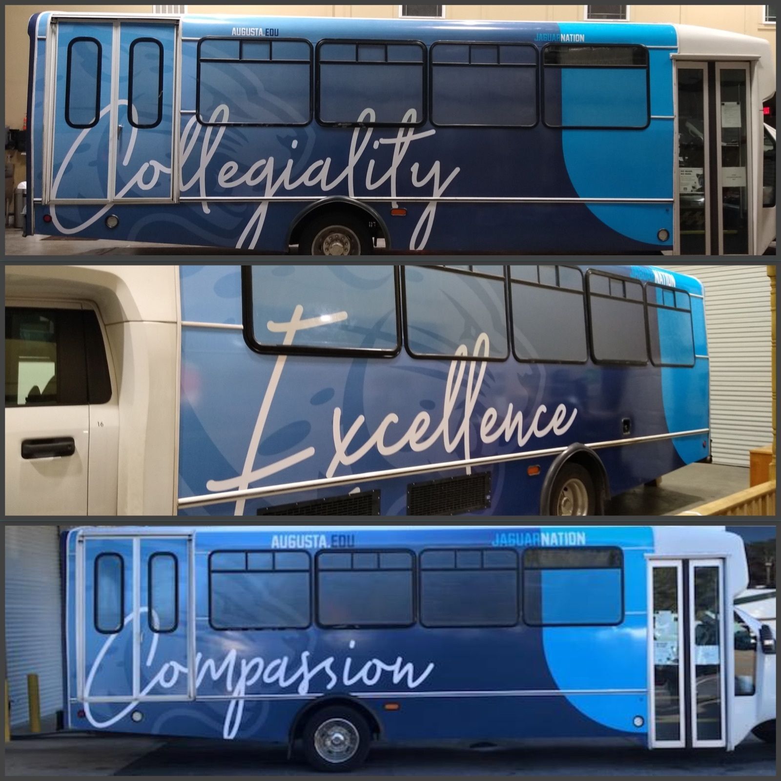 Augusta University Busses