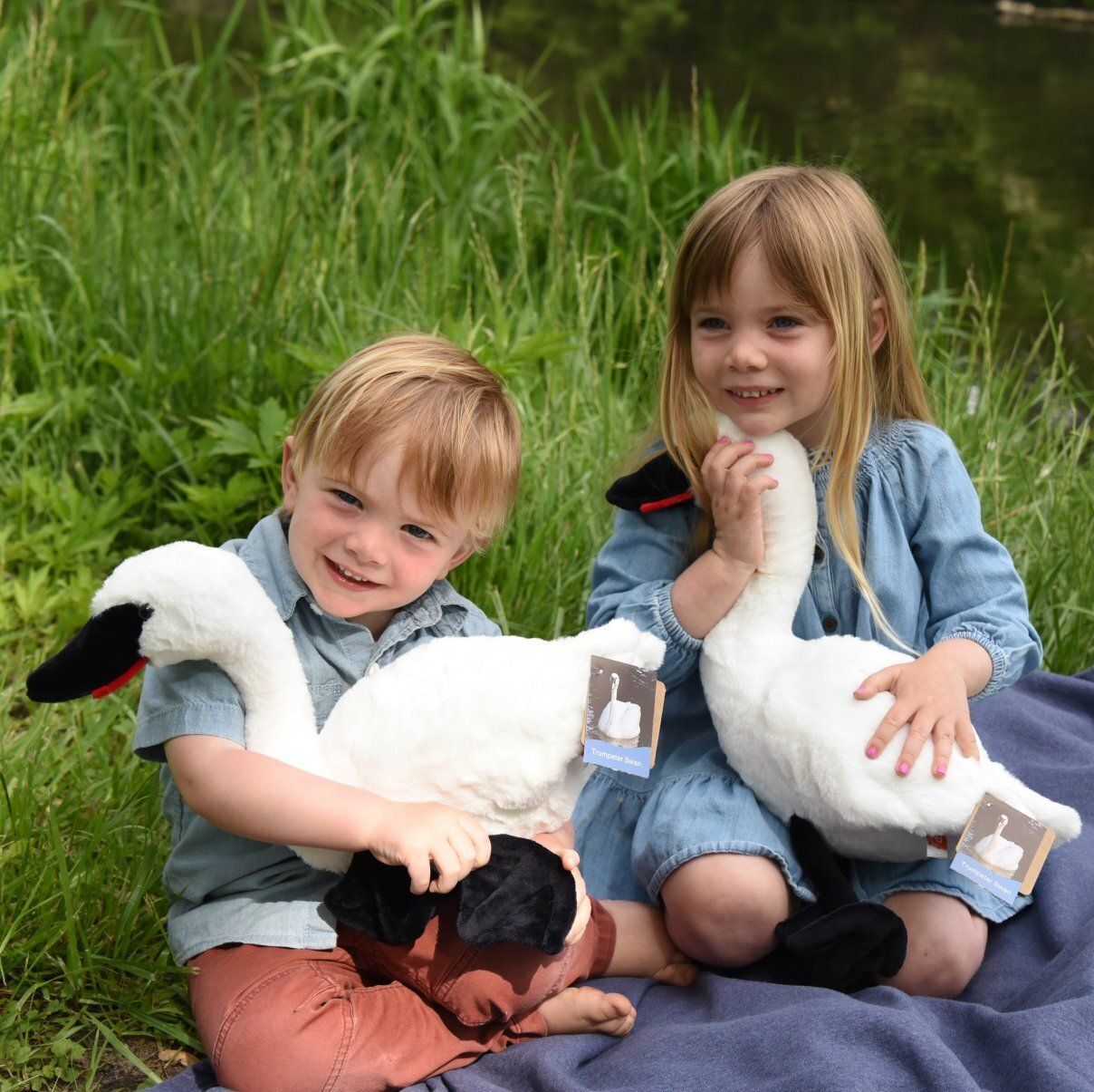 Your donation to The Trumpeter Swan Society will build a safe winter home for swans