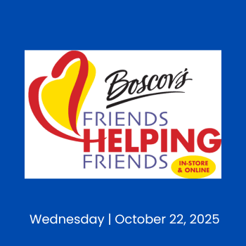 Boscov's Day 