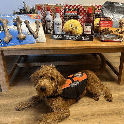 IHDI Puppy in Training Archie Showered with Gifts