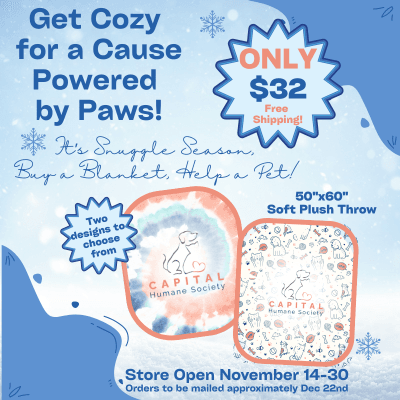 Get Cozy for a Cause