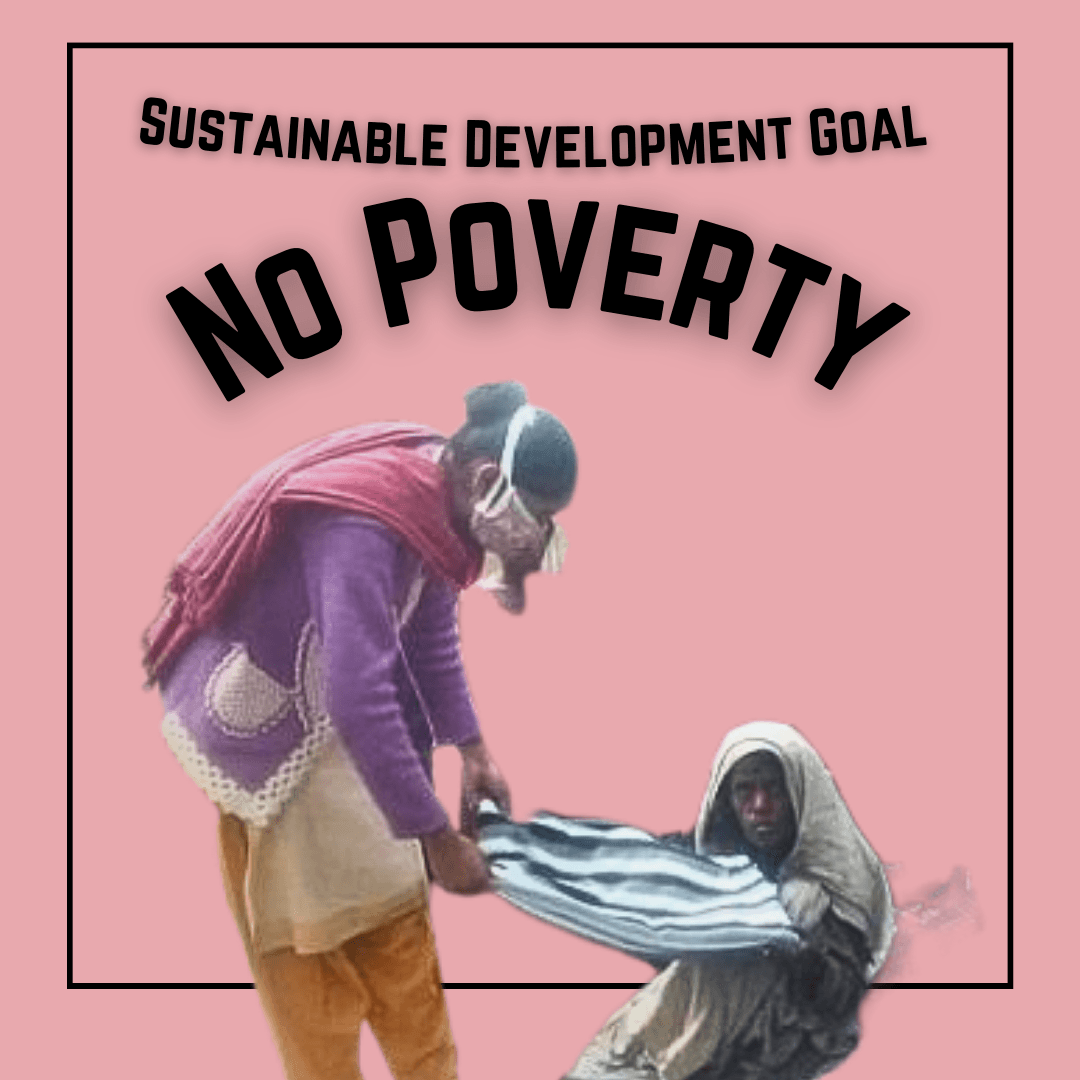 Sustainable Development Goal: No Poverty