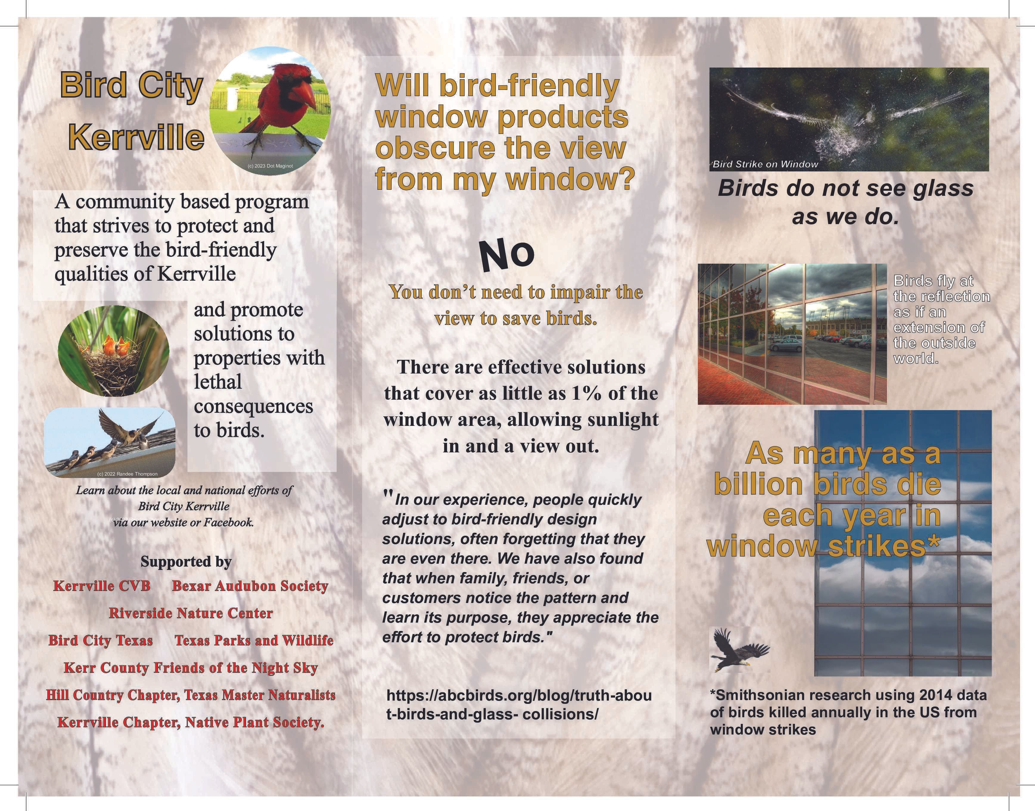 Tips for keeping birds safe, bird safety, keep birds from flying into windows