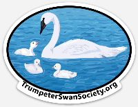 Magnet: "Sweet Swan Family"