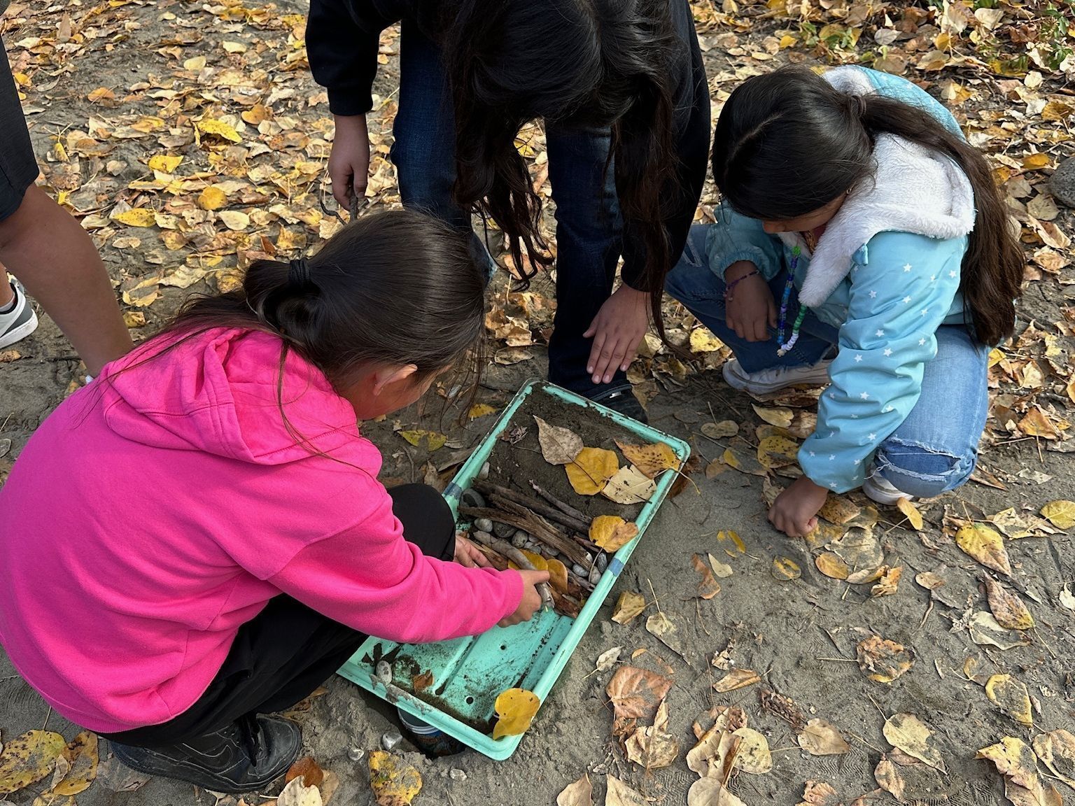 Earth Explorers Field Day