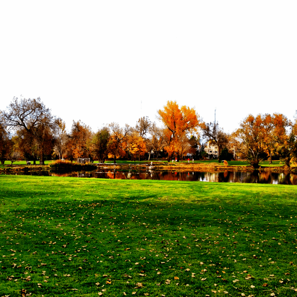 Tee It Up for the TEAL Golf Tournament!