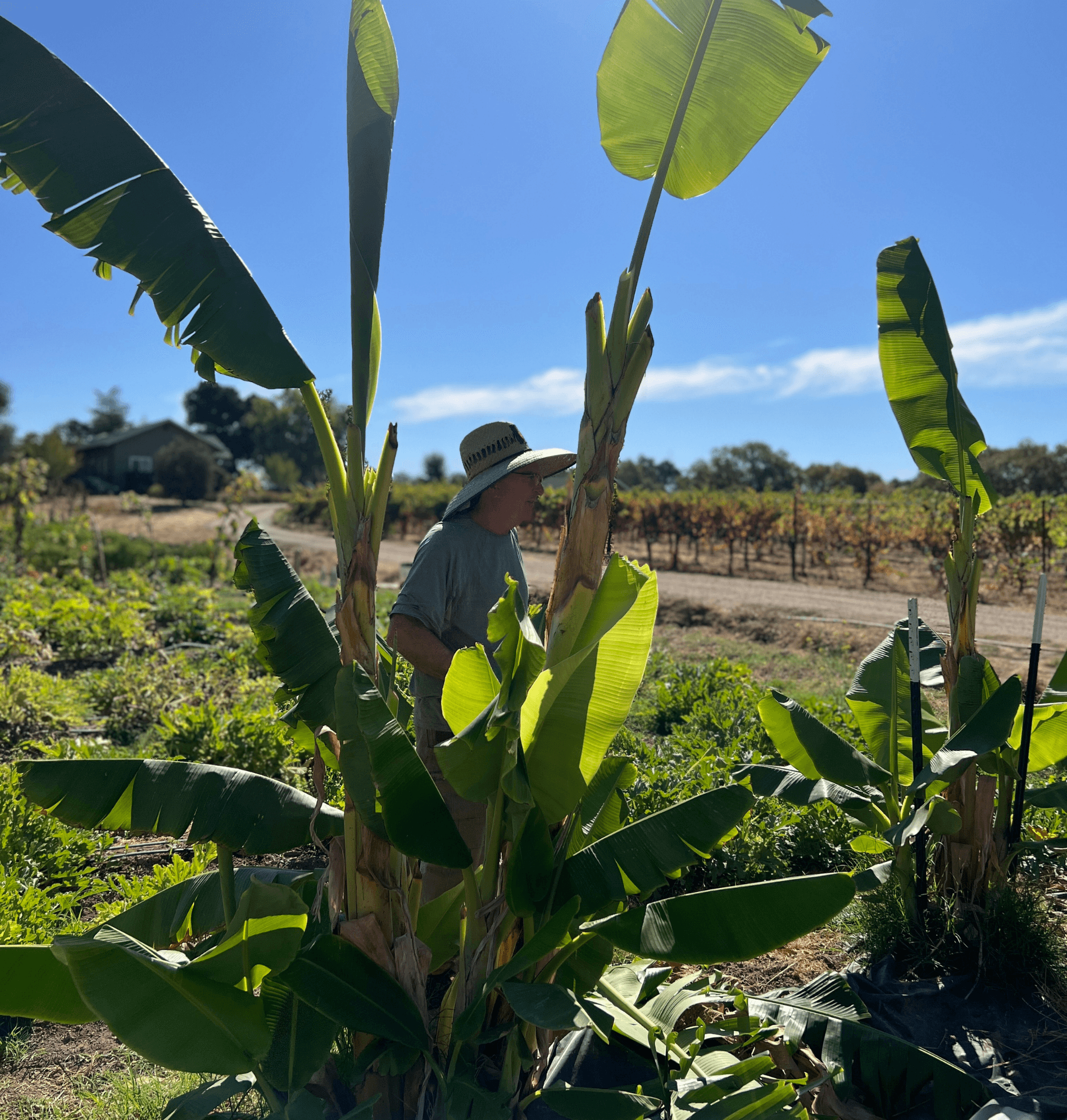 Farm to Fight Hunger