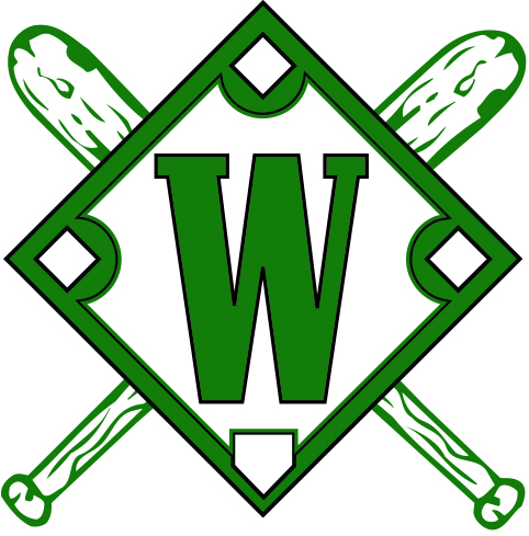 Webster Little League 