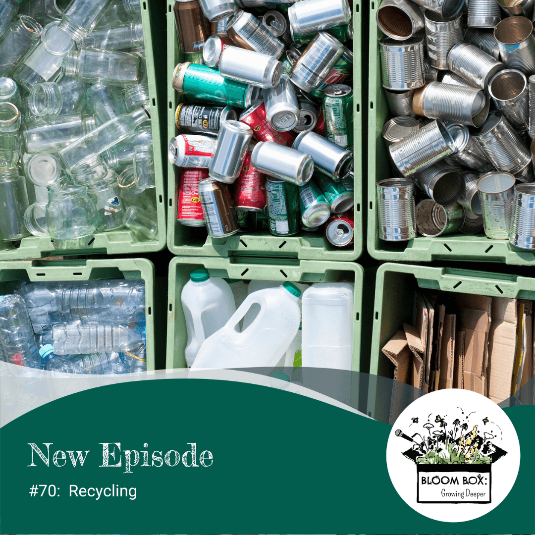 Green bins with sorted recycling items including plastic bottles, glass, soda cans, cardboard, and tin cans. 