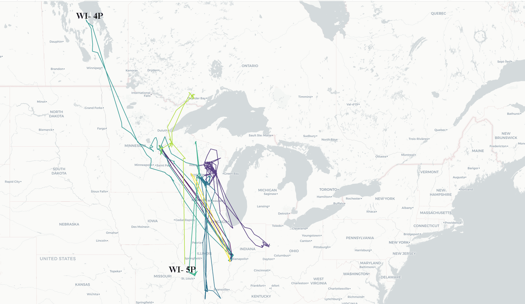 Map showing Wisconsin swans' travels
