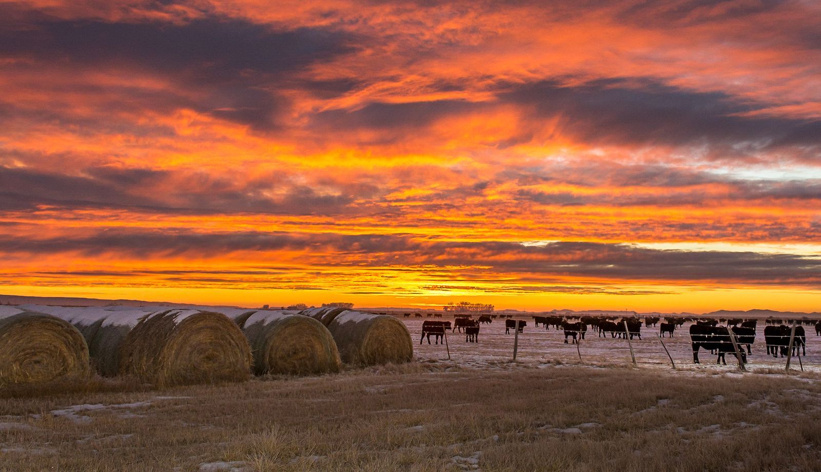 High Desert Partnership