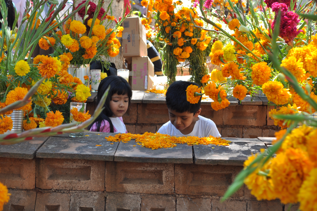 Photos from Mexico: A Fundraiser at La Nopalera from March 17th-31st