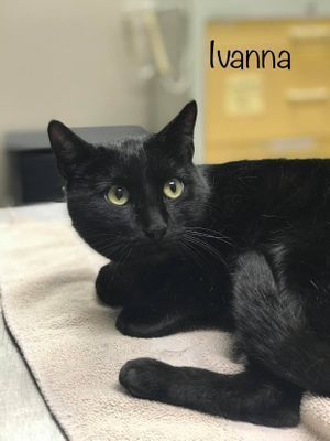 IVANNA