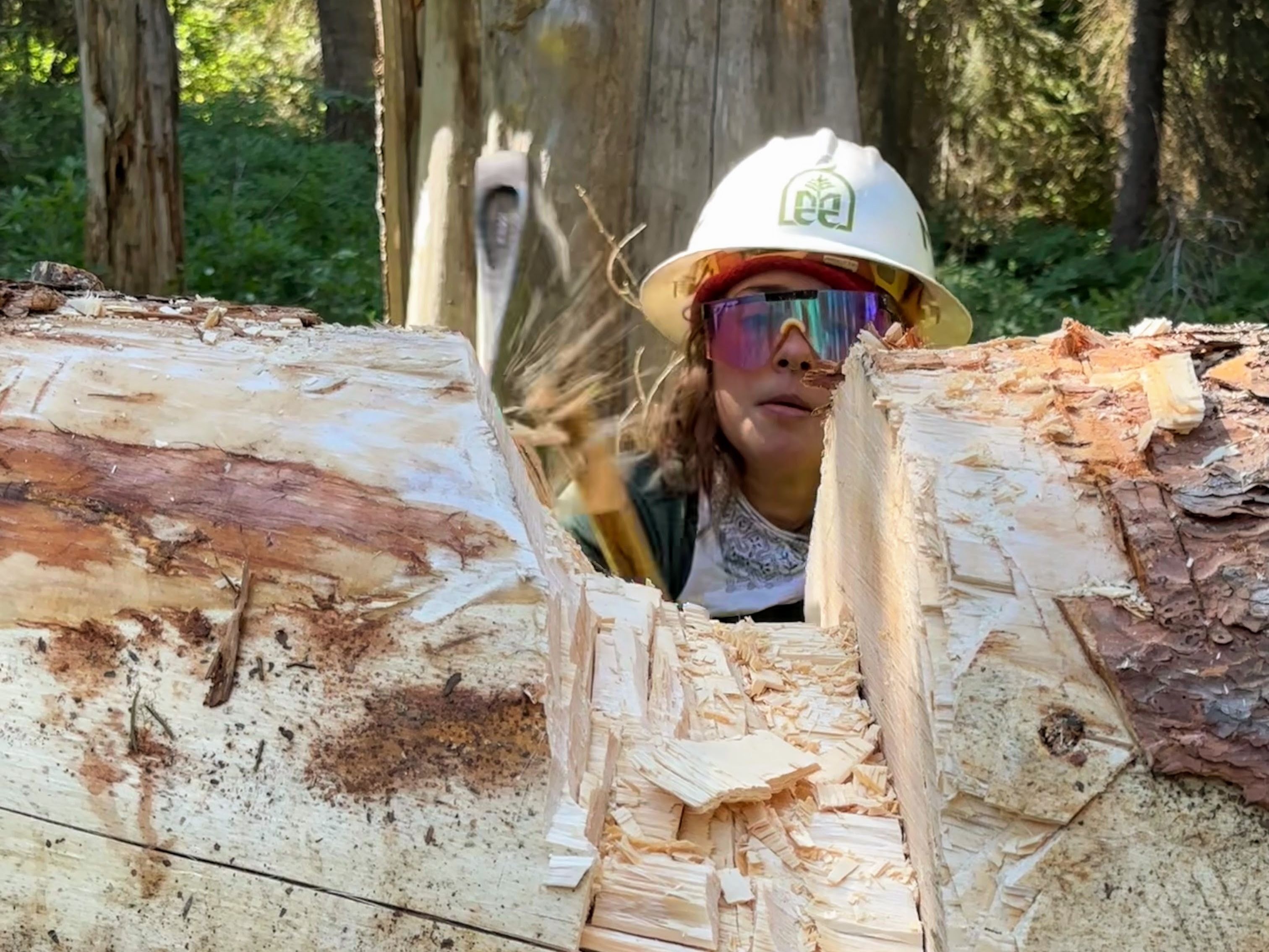 A crew leader uses an axe to chop at a log toward the camera