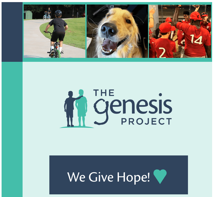 The Genesis Project's Annual Report