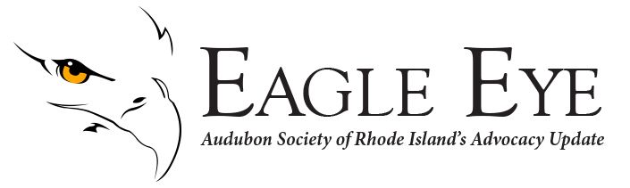 Audubon Society of Rhode Island Eagle Eye Advocacy Update Environmental News Call to Action Smith Hill