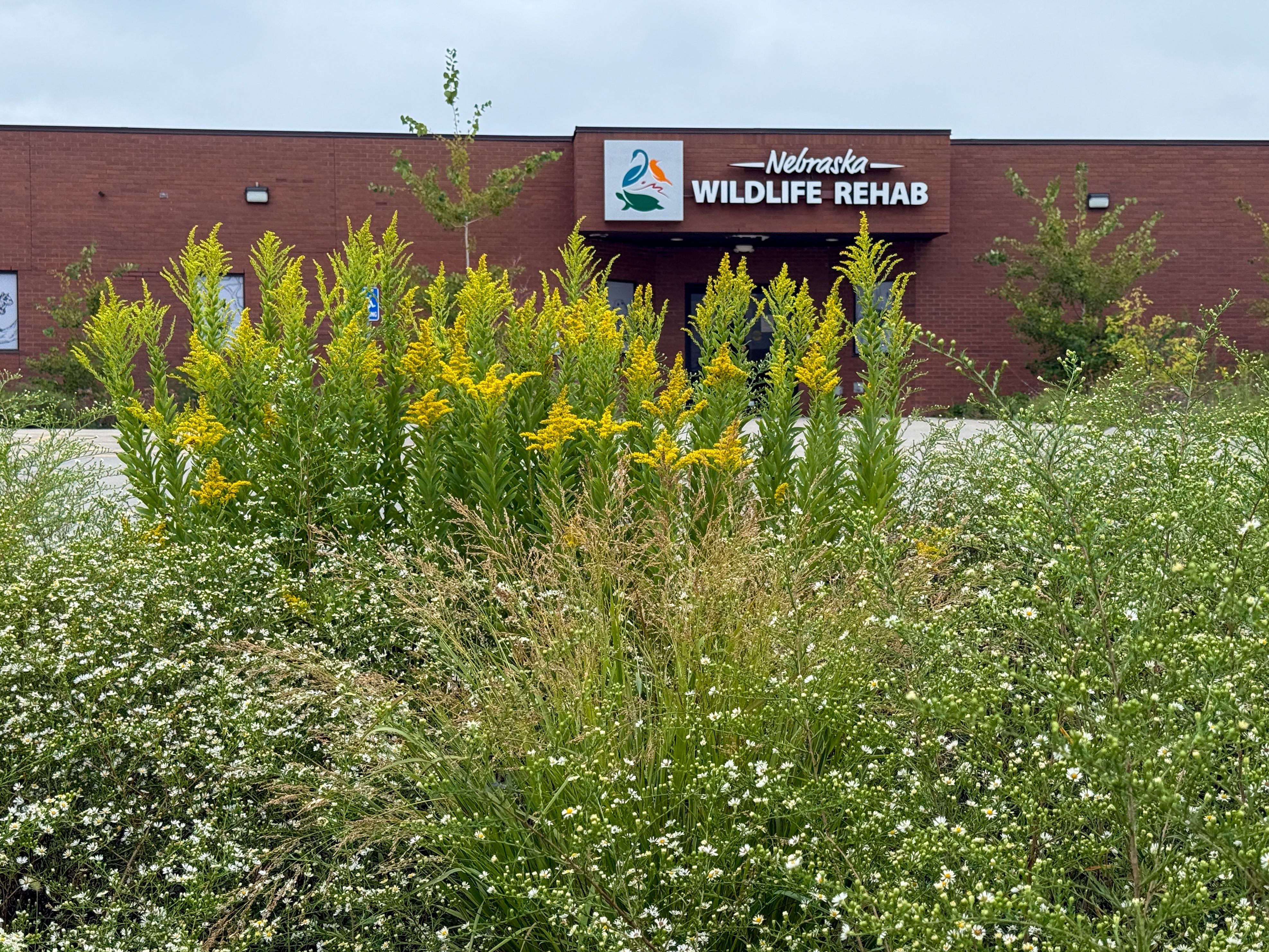 baldwin wildlife center in summer