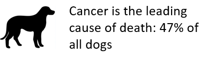 Dogs and Cancer